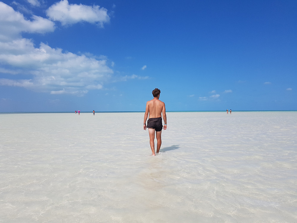 Walk along the beach